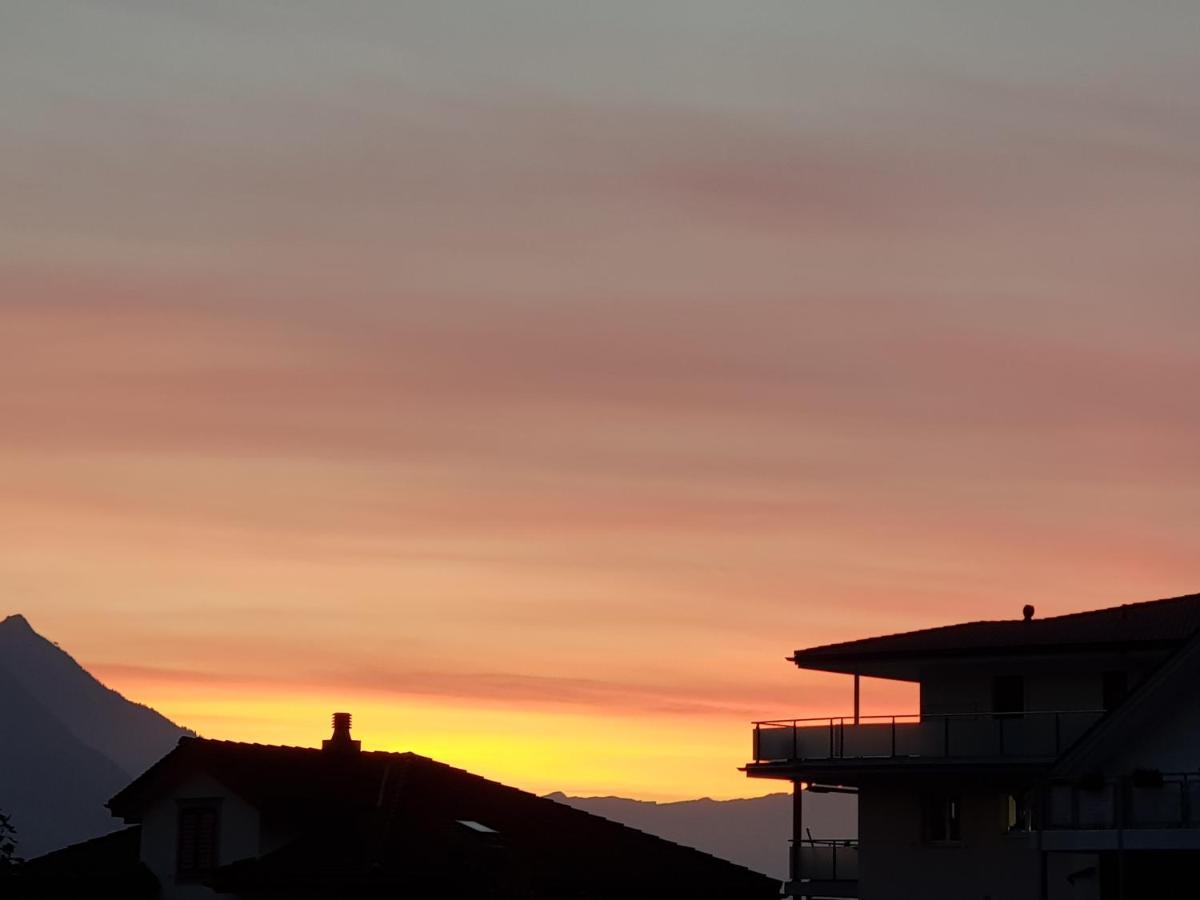 Hotel Schaefli *
