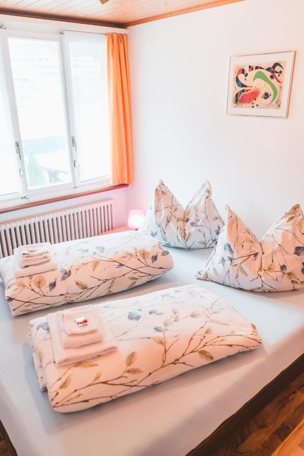 Hotel Schaefli *